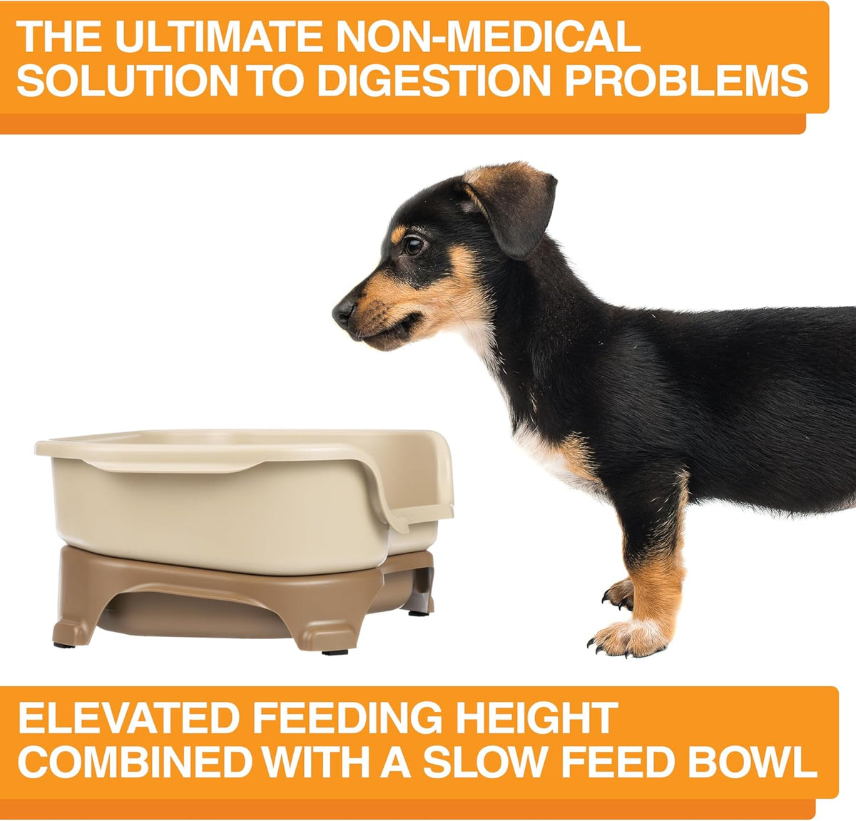 Neater Feeder Express Mess Proof Dog Bowls Elevated for Small Breeds Under 15 Lb, Made in USA, No