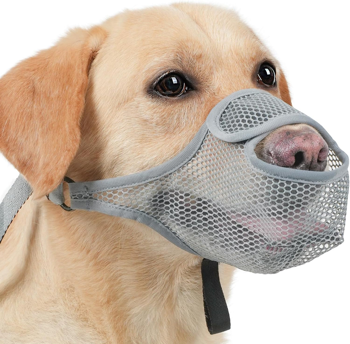 LUCKYPAW Dog Muzzle for Large Medium Small Dogs, Patented Mesh Muzzle to Prevent Biting Chewing