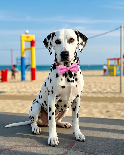 PET SHOW 8 Pack Dot Big Dogs Collar Embellishment Attachment Bow Ties for Medium Large Dogs Collar