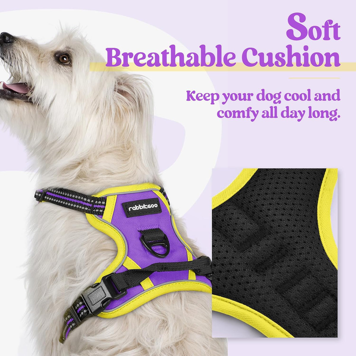 rabbitgoo Dog Harness No Pull with 2 Leash Clips, Adjustable Soft Padded, Reflective Oxford No
