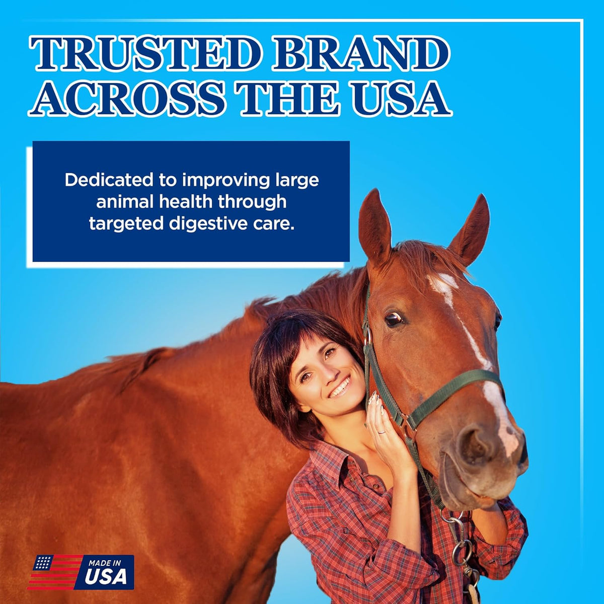 Equerry's Large Animal Probiotic | Supplements for Gut Health and Nutrient Absorption | Probiotics
