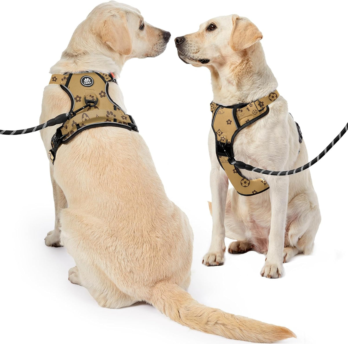 NESTROAD No Pull Dog Harness,Adjustable Oxford Dog Vest Harness with Leash,Reflective No-Choke Pet