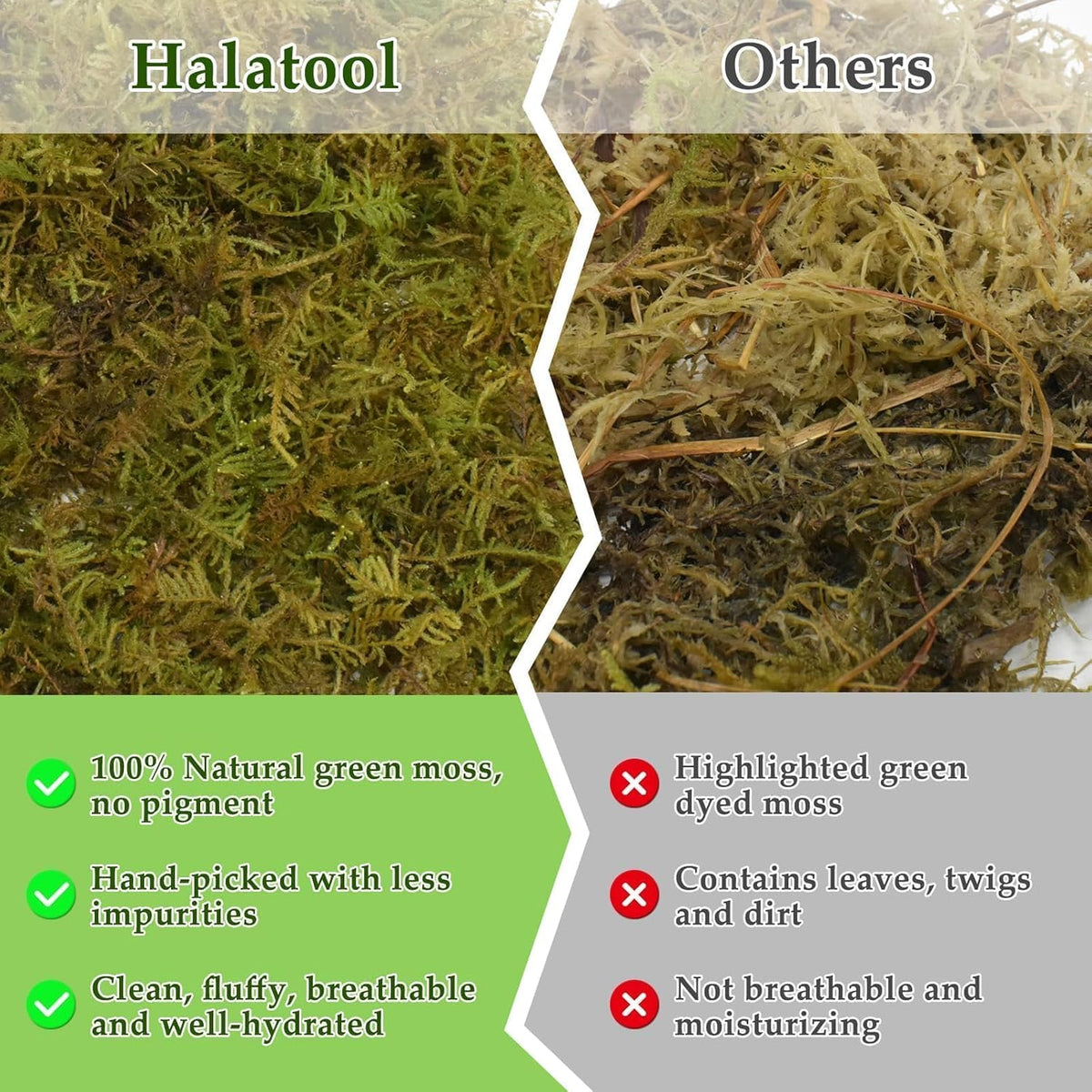 Halatool 9OZ Natural Sphagnum Moss for Reptiles- 14QT Green Live Moss for Terrarium Plants Long