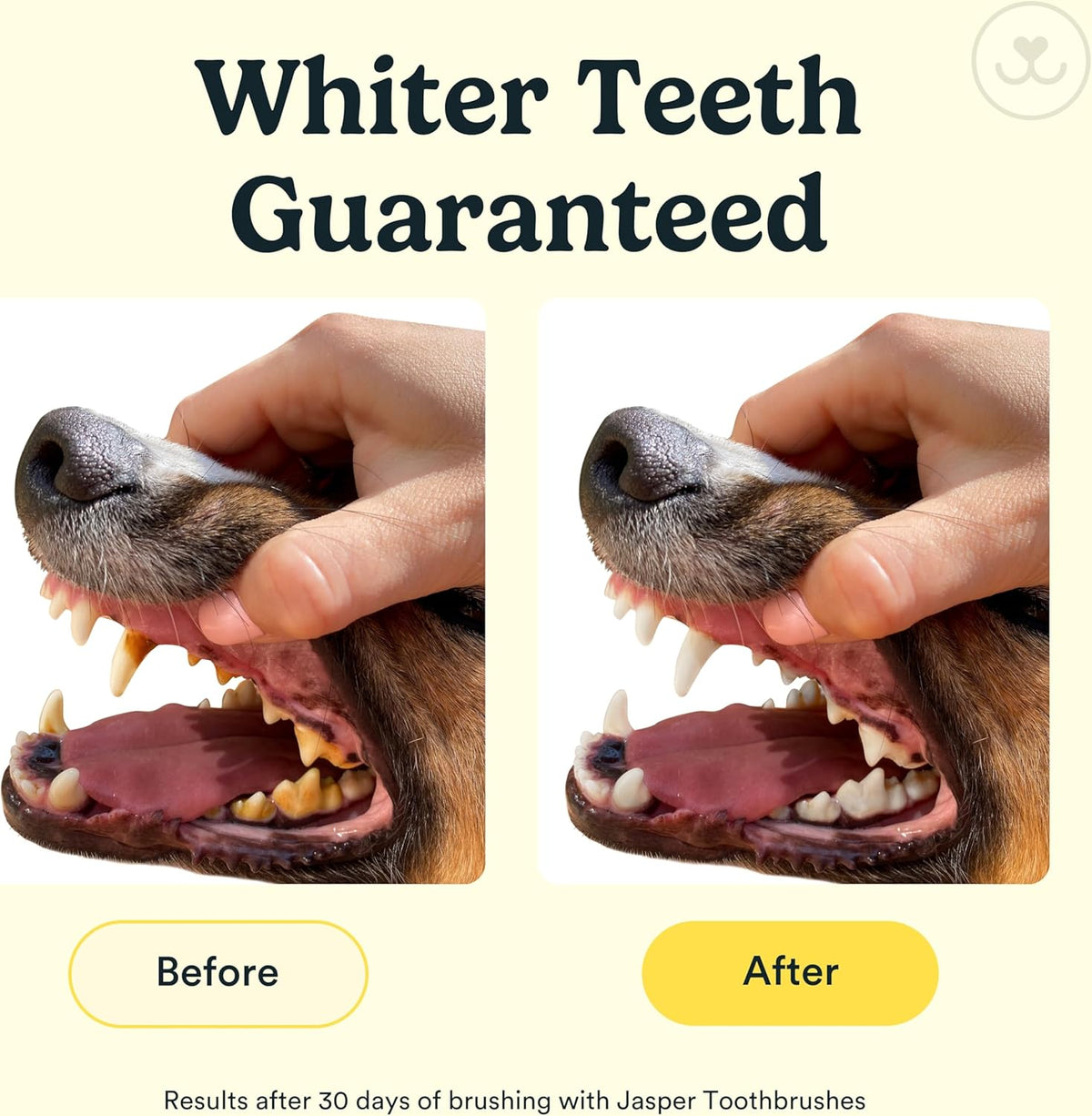 Jasper Dog Toothbrush, 360º Dog Tooth Brushing Kit, Cat Toothbrush, Dog Teeth Cleaning, Dog Finger