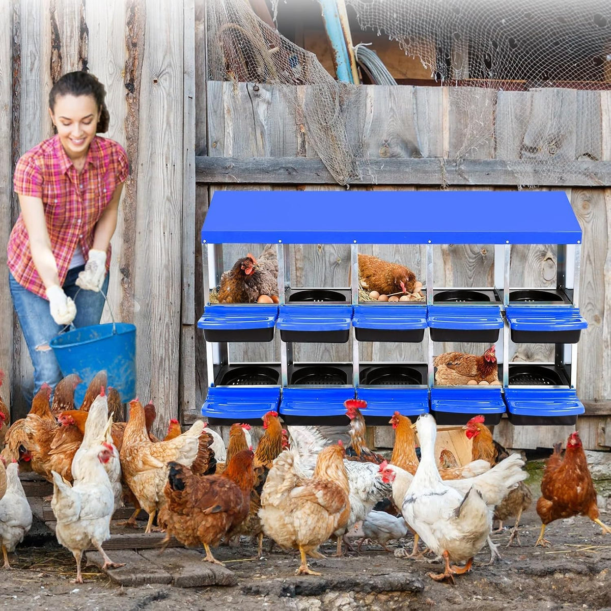 Chicken Nesting Boxes, 10 Hole Metal Chicken Laying Box with with Removable Trays and Roll Out Egg