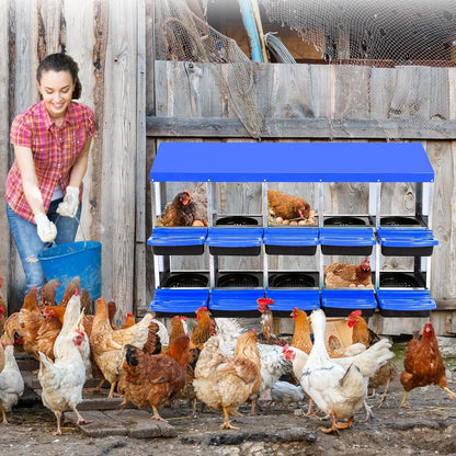 Chicken Nesting Boxes, 10 Hole Metal Chicken Laying Box with with Removable Trays and Roll Out Egg