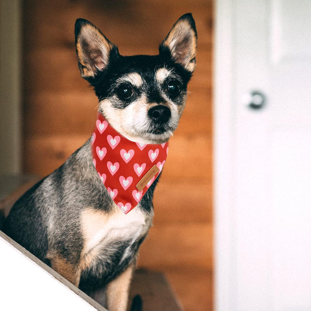 Realeaf Love Dog Bandanas 2 Pack, Triangle Reversible Mothers Day Valentine's Day Pet Scarf for Boy