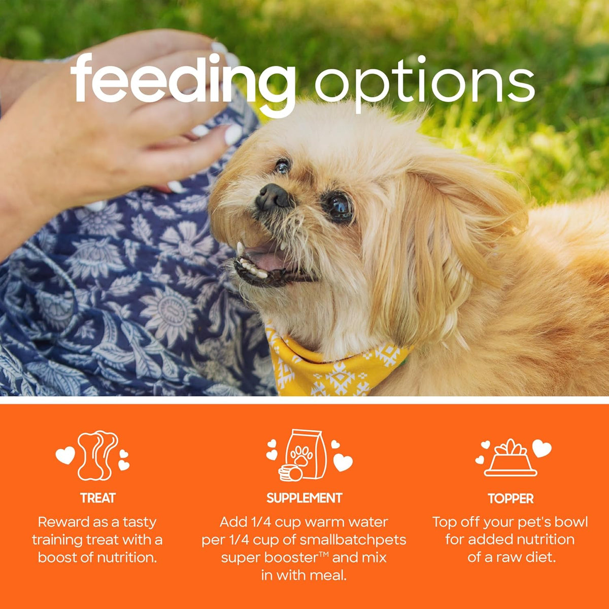 Smallbatch Freeze Dried Dog Treats, Superfood Food Topper Chicken Bites for Dogs & Cats
