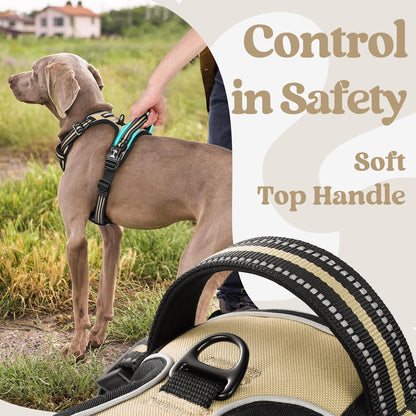 rabbitgoo Dog Harness Medium Sized, No Pull Pet Harness with 3 Buckles, Adjustable Soft Padded Vest