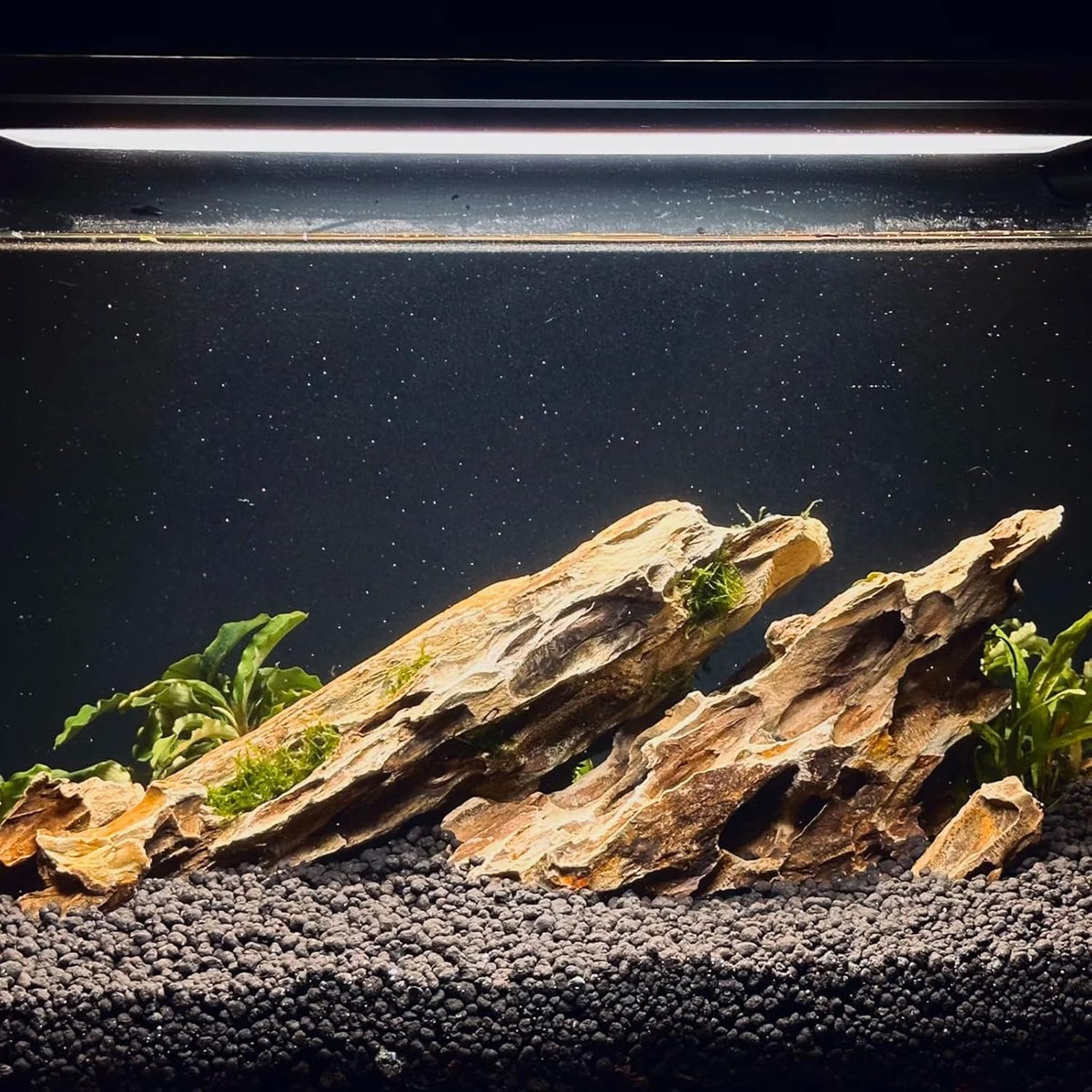 Dragon Rocks Aquarium Rock aquascaping Natural Stone Rocks Fish Tank Decor Rocks for Aquariums