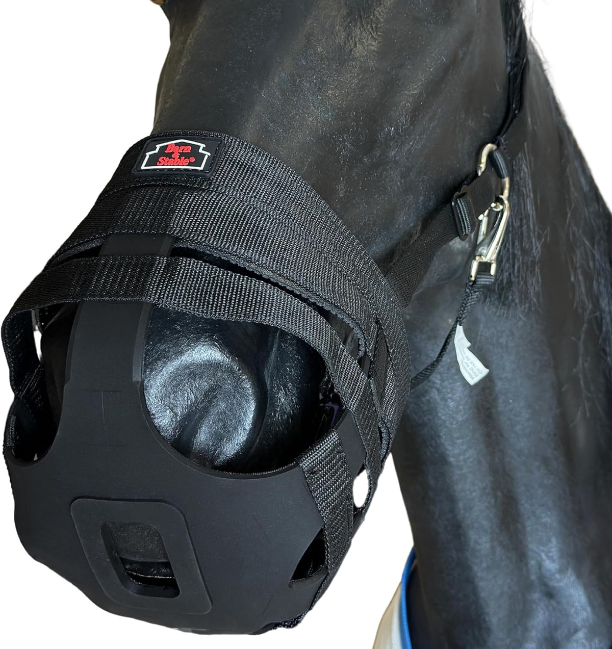 BARN & STABLE Horse Grazing Muzzle Halter for Easy Breathe, Comfortable Professional Horse Muzzle