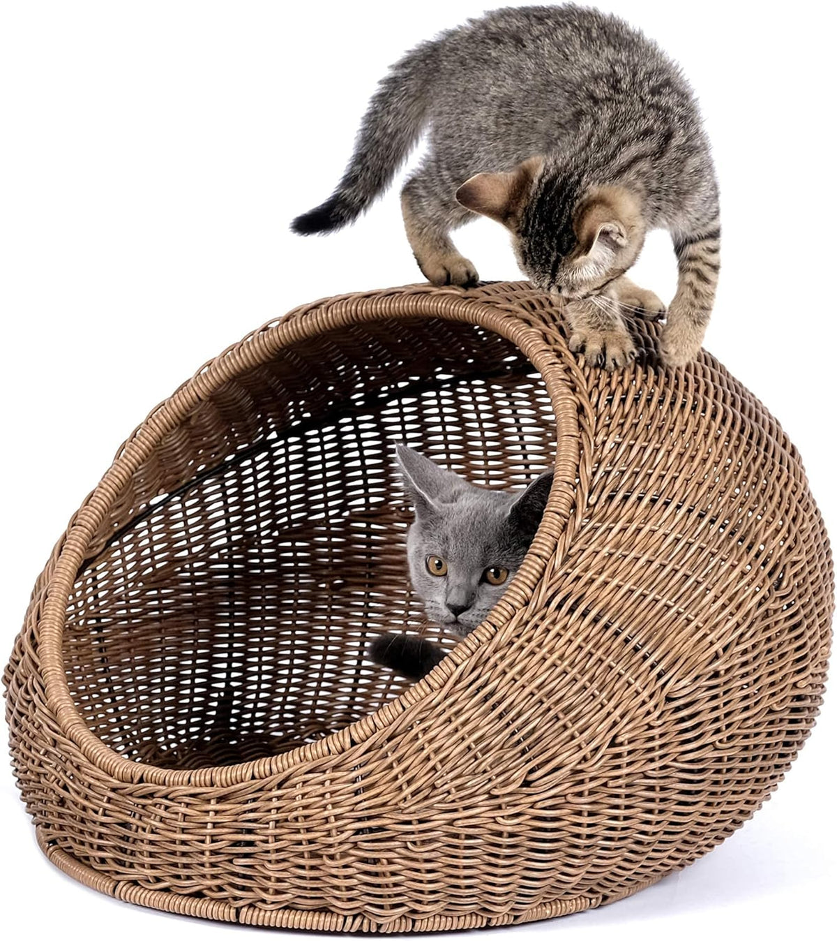 D+GARDEN Wicker Cat Bed Dome for Medium Indoor Cats - a Covered Cat Hideaway Hut of Faux Rattan