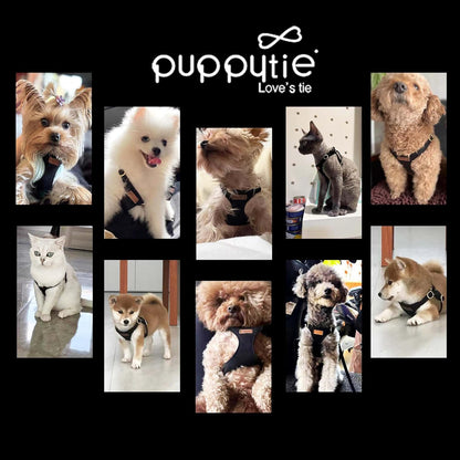 Puppytie No Pull Small Dog Harness with Multifunction Dog Leash,Lightweight Soft Adjustable No