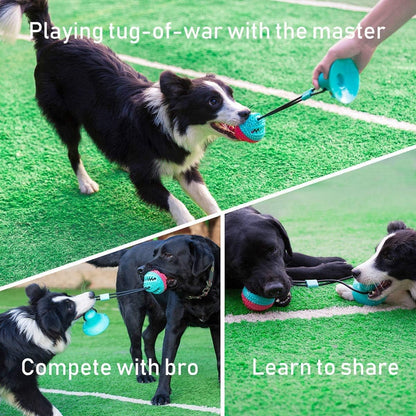 Interactive Dog Toys Tug of War, Mentally Stimulating Toys for Dogs, Puppy Teething Toys for