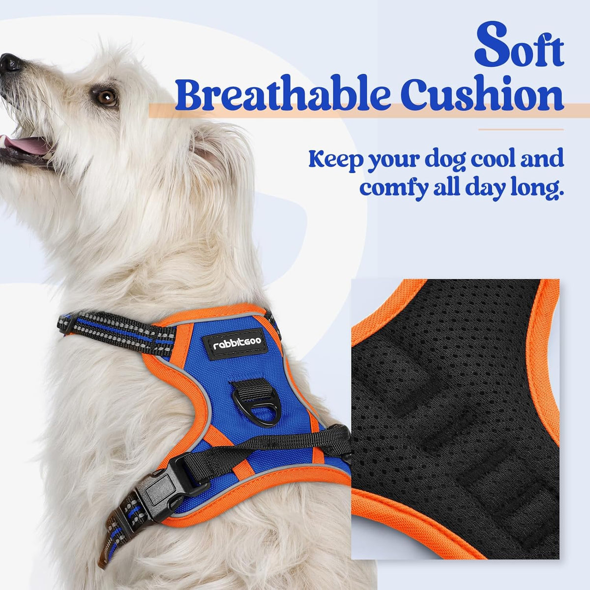 rabbitgoo Dog Harness No Pull with 2 Leash Clips, Adjustable Soft Padded, Reflective Oxford No