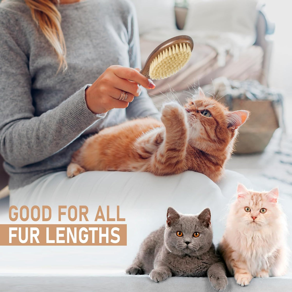 Takavu Natural White Boar Bristle Cat Brush - Gentle Grooming Tool for Sensitive Skin, Smoothing