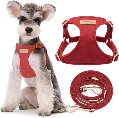 Puppytie No Pull Small Dog Harness with Multifunction Dog Leash,Lightweight Soft Adjustable No