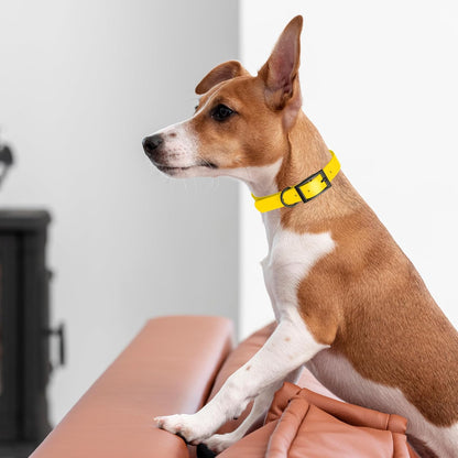Dogline Biothane Waterproof Dog Collar Strong Coated Nylon Webbing with Black Hardware Odor- Proof