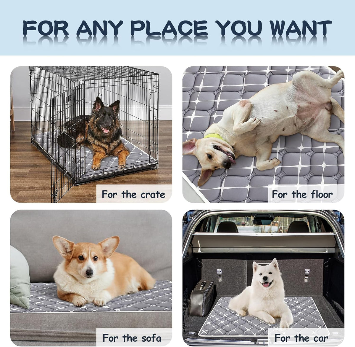 Bubble bear Dog Crate Mat - Ultra Soft, Washable & Anti-Slip Kennel Pad for Small/Medium/Large