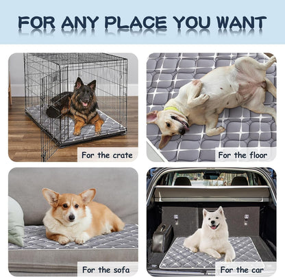 Bubble bear Dog Crate Mat - Ultra Soft, Washable & Anti-Slip Kennel Pad for Small/Medium/Large