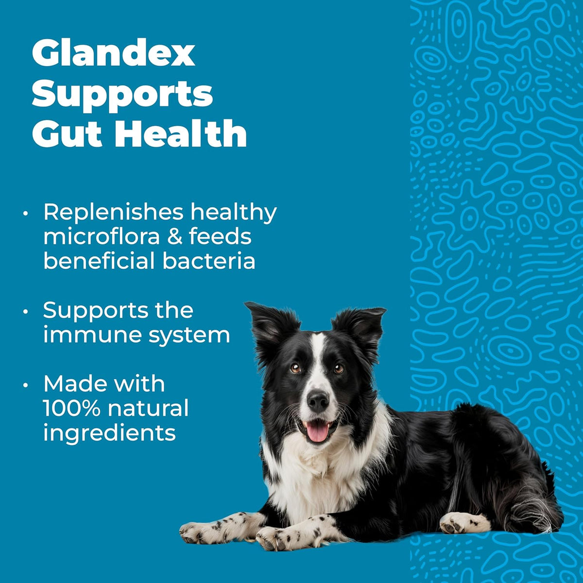 Vetnique Glandex Daily Probiotics for Dogs with Prebiotics to Support Gut Health with Fiber and