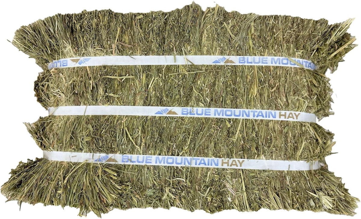 Blue Mountain Hay High-Altitude Teff Grass Hay, 50lb Easy Flake Box - Low NSC & High Fiber for Easy