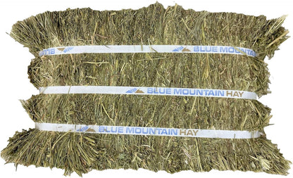 Blue Mountain Hay High-Altitude Teff Grass Hay, 50lb Easy Flake Box - Low NSC & High Fiber for Easy
