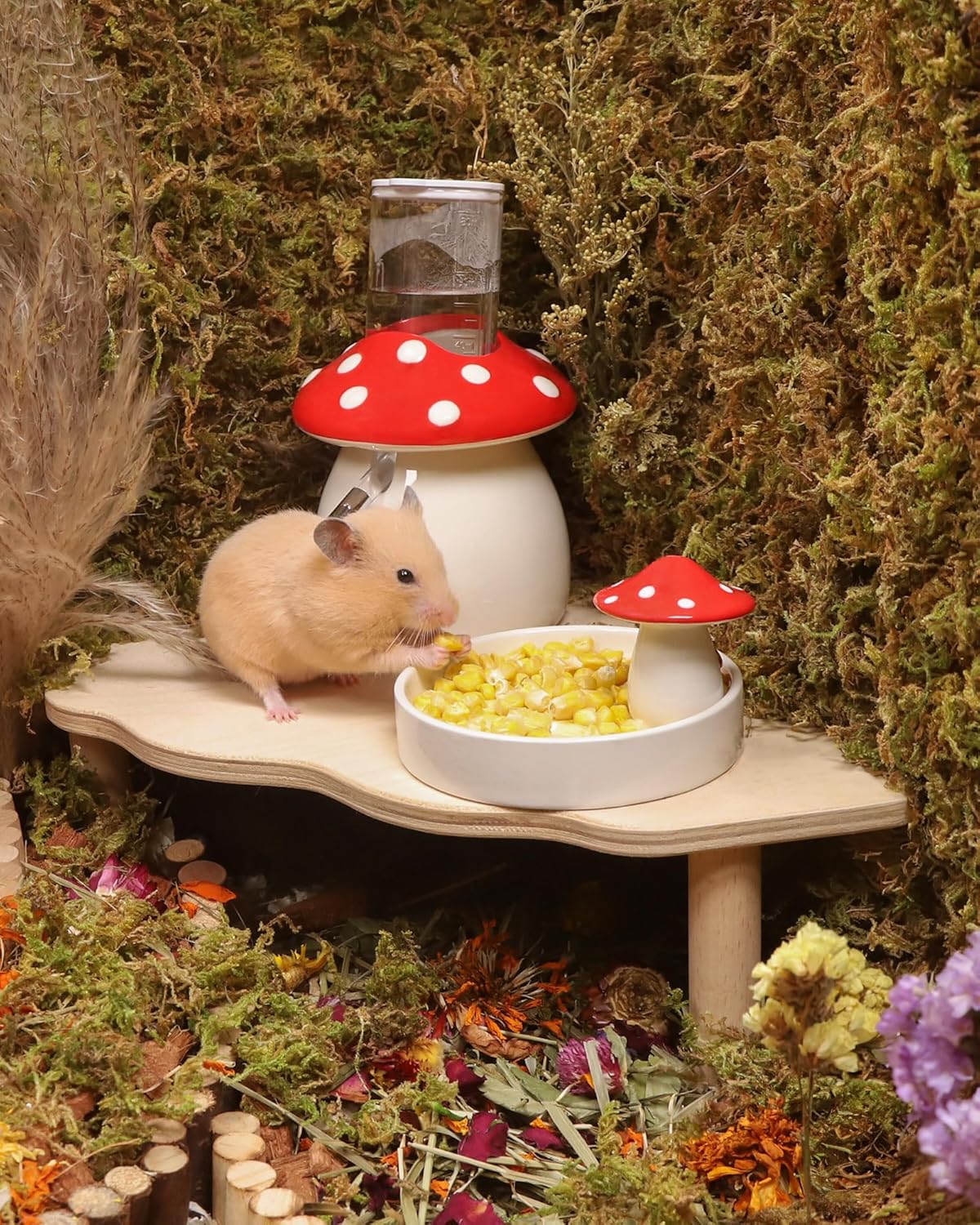 Niteangel Hamster Snack & Treats Toy - Small Animal Natural Treat for Dwarf Syrian Robo Hamsters