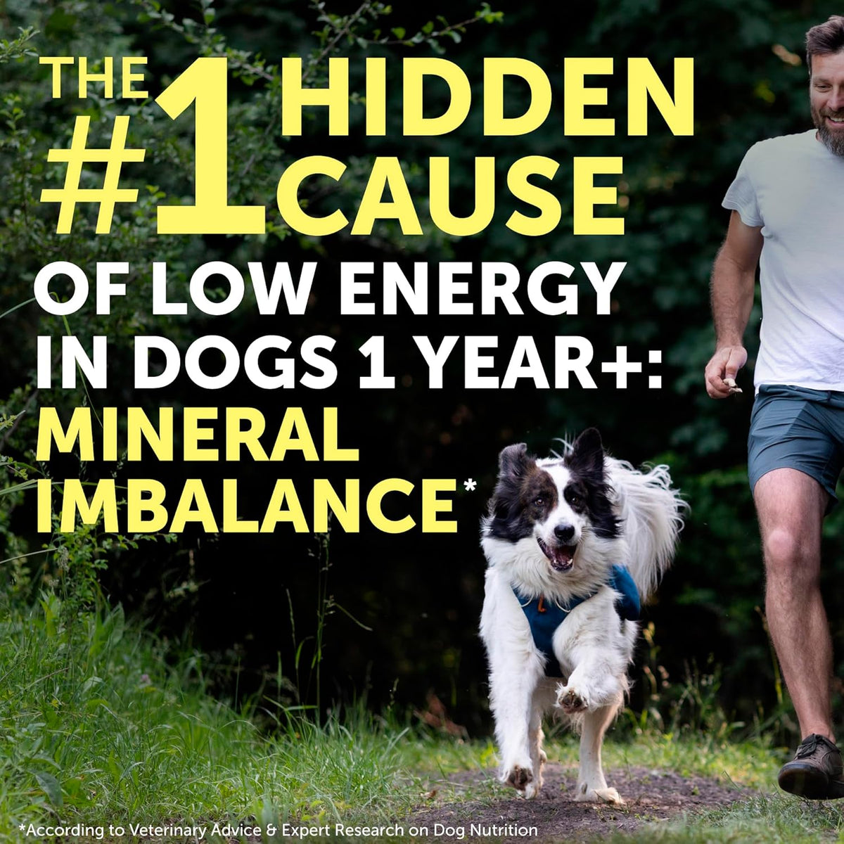 Nature's Protection Dog Joint Supplement - Mineral Powder Supplement for Pet Muscle Recovery
