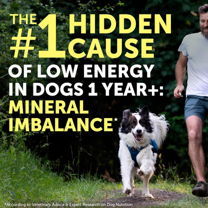 Nature's Protection Dog Joint Supplement - Mineral Powder Supplement for Pet Muscle Recovery