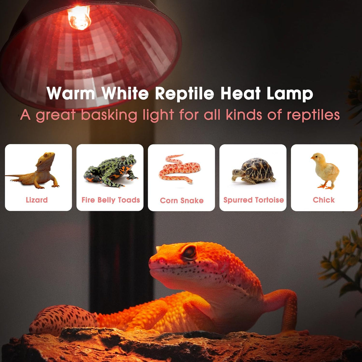 Briignite Reptile Heat Lamp Red, Reptile Night Lamp 50W, G9 Heat Bulb & Dome Reptile Light Fixture