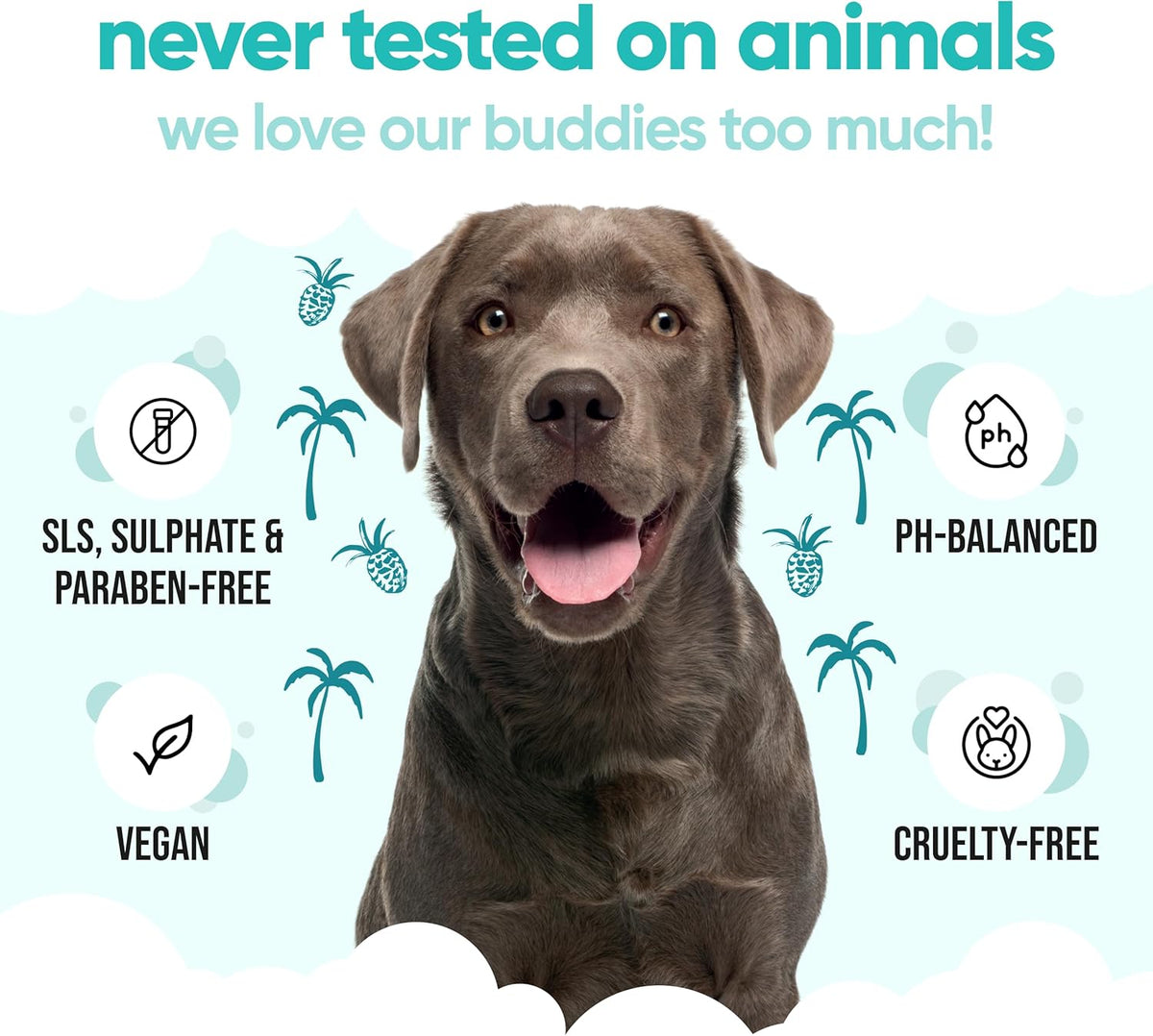 Tropical Dog Shampoo by Buddycare | Deep Cleansing Shampoo for Dogs | Tropical Scented | with Aloe