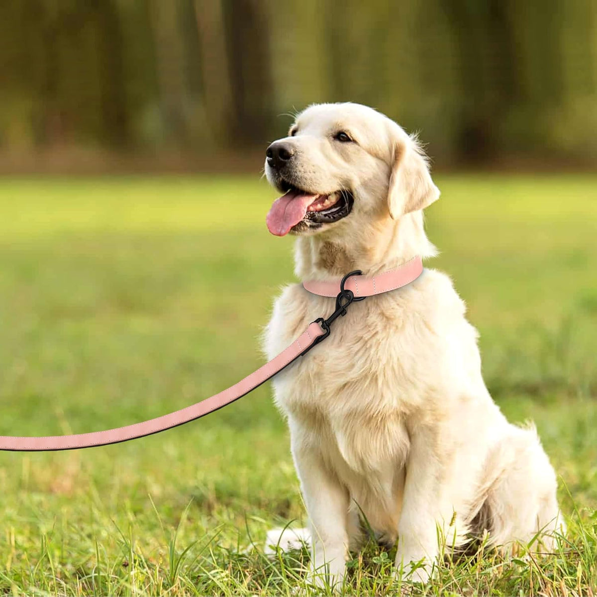 Didog Soft Padded Leather Dog Collar and Leash Set, Pink Breathable Pet Collars with 4FT PU Leather