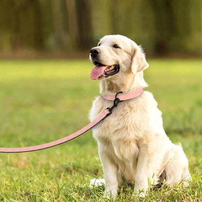 Didog Soft Padded Leather Dog Collar and Leash Set, Pink Breathable Pet Collars with 4FT PU Leather