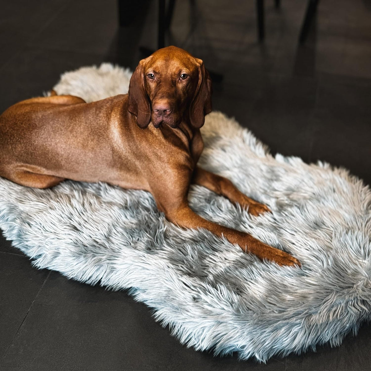 IHAPPYDOG Luxury Faux Fur Orthopedic Dog Bed, Memory Foam Dog Bed for Small, Medium, Large and XL