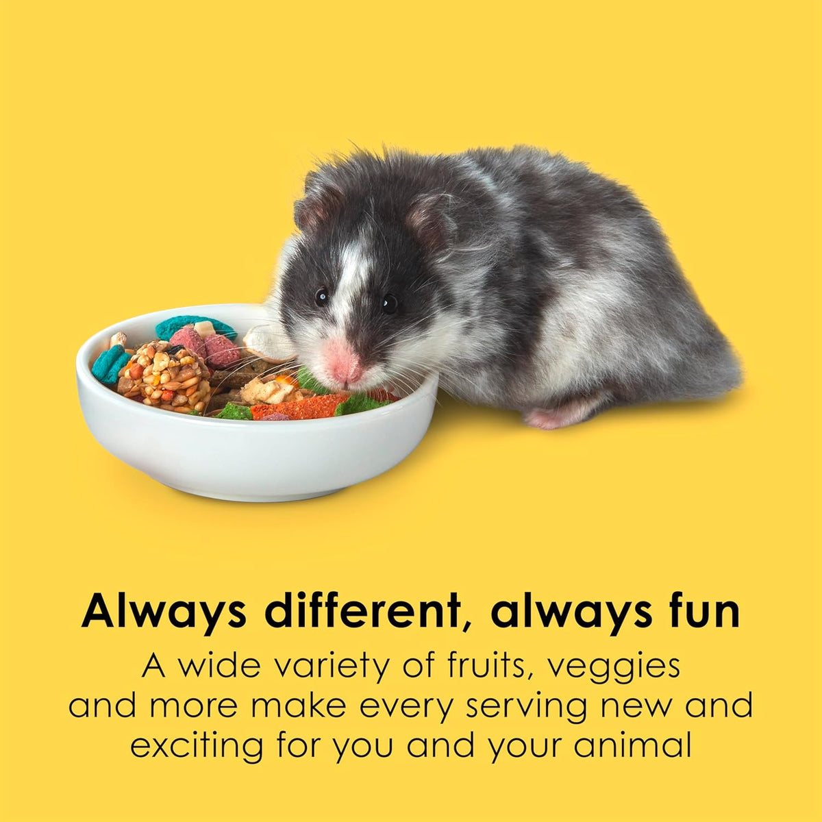 Kaytee Fiesta Hamster & Gerbil Food, Nutritious and Fun Blend, Supports Dental Health and