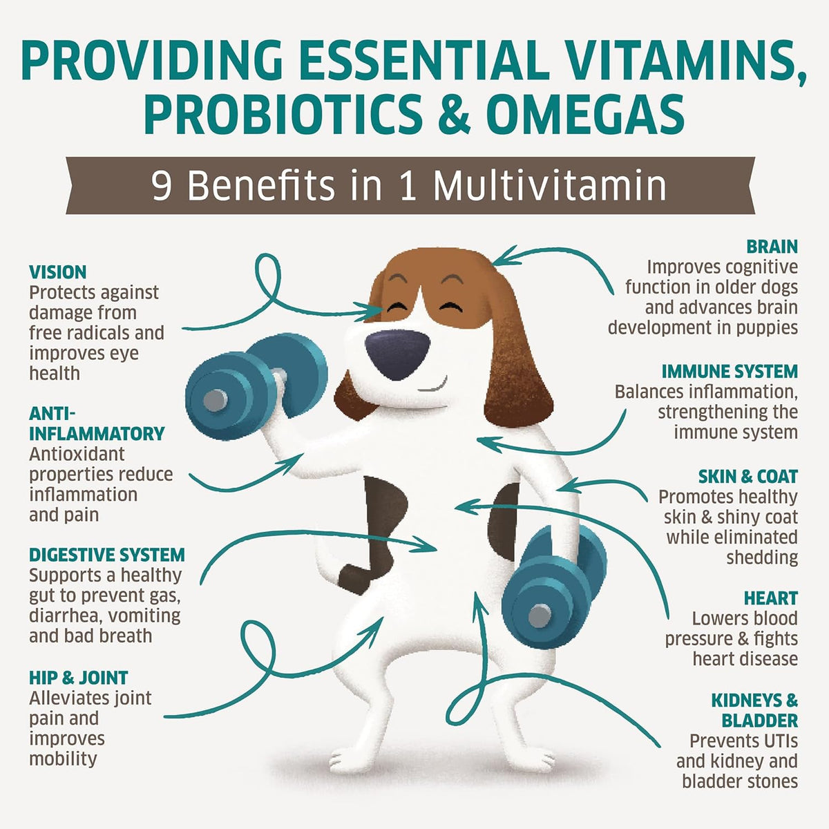 Dog Multivitamin - Dog Vitamins and Supplements - Digestive Enzymes & Probiotics - Probiotics for