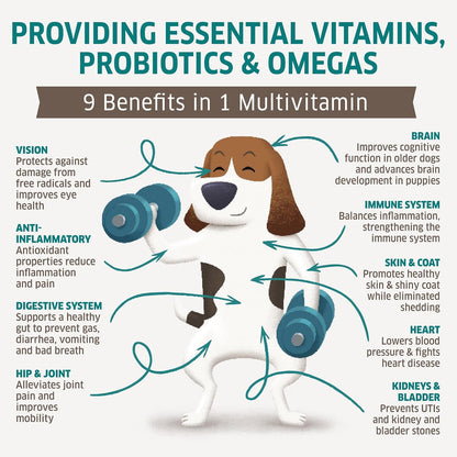 Dog Multivitamin - Dog Vitamins and Supplements - Digestive Enzymes & Probiotics - Probiotics for