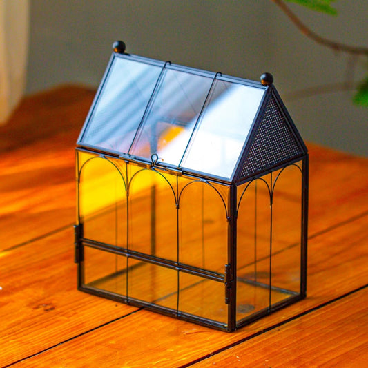 NCYP Small Glass Spider Enclosure with Mesh for Jumping Spiders, Snails, Micro House Shaped Front