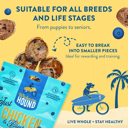 Chicken & Blueberry Chips – 2 Simple Ingredient Dog Treats, All Natural & Healthy Training Snacks