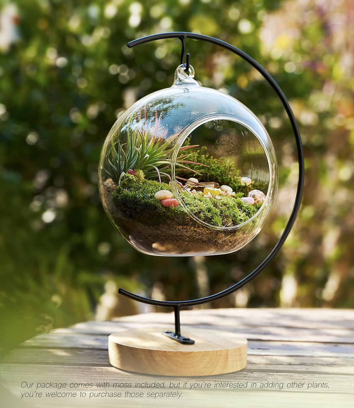 15-Piece Terrarium Kit with Live Moss – DIY Glass Globe Set with Tools, Soil, Stones & Spray Bottle