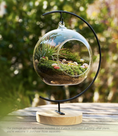 15-Piece Terrarium Kit with Live Moss – DIY Glass Globe Set with Tools, Soil, Stones & Spray Bottle