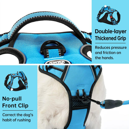 IVY&LANE No Pull Dog Harness for Medium Dogs, Dog Vest Harness with Leash, Safety Belt and Storage