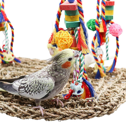 Large Bird Swing Toys, Colorful Parrot Seagrass Mat Hammock with Blocks, Bird Foraging Toy, Bird
