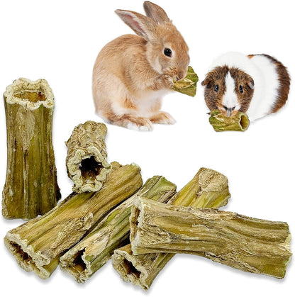 Fhiny Rabbit Chew Toys, 6 PCS 3.9" Natural Papaya Wood Chew Sticks Guinea Pig Treats for Dental
