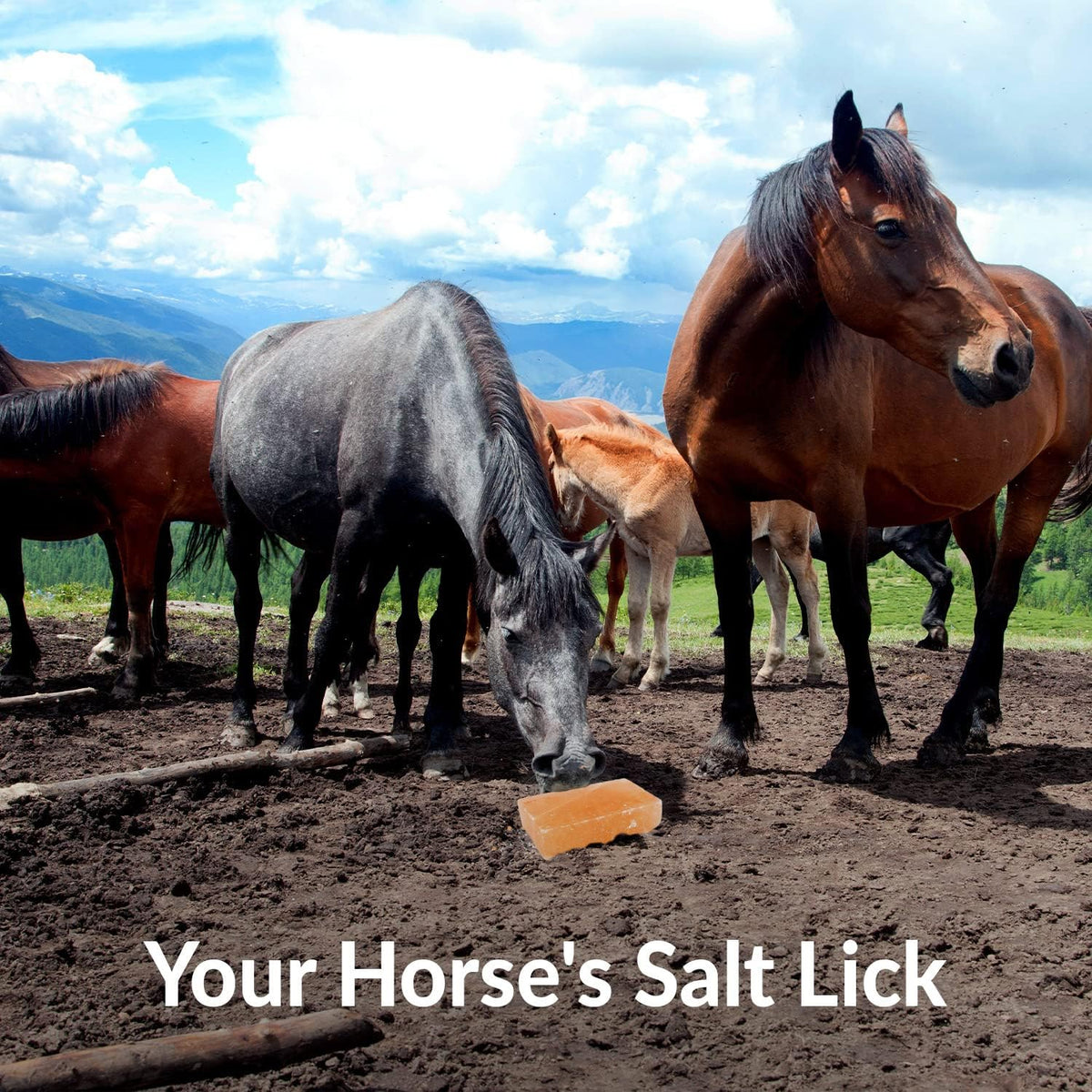 Licking Salt for Horse, 100% Pure Himalayan Pink Salt Chunks, 6 LBS, Animal Feed Salt Chunks, Horse