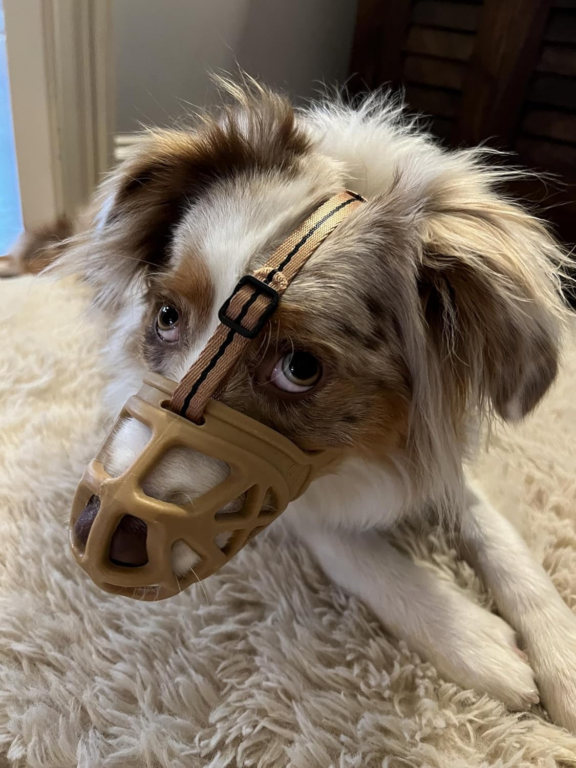 Mayerzon Dog Muzzle, Breathable Basket Muzzles for Small, Medium, Large and X-Large Aggressive Dogs