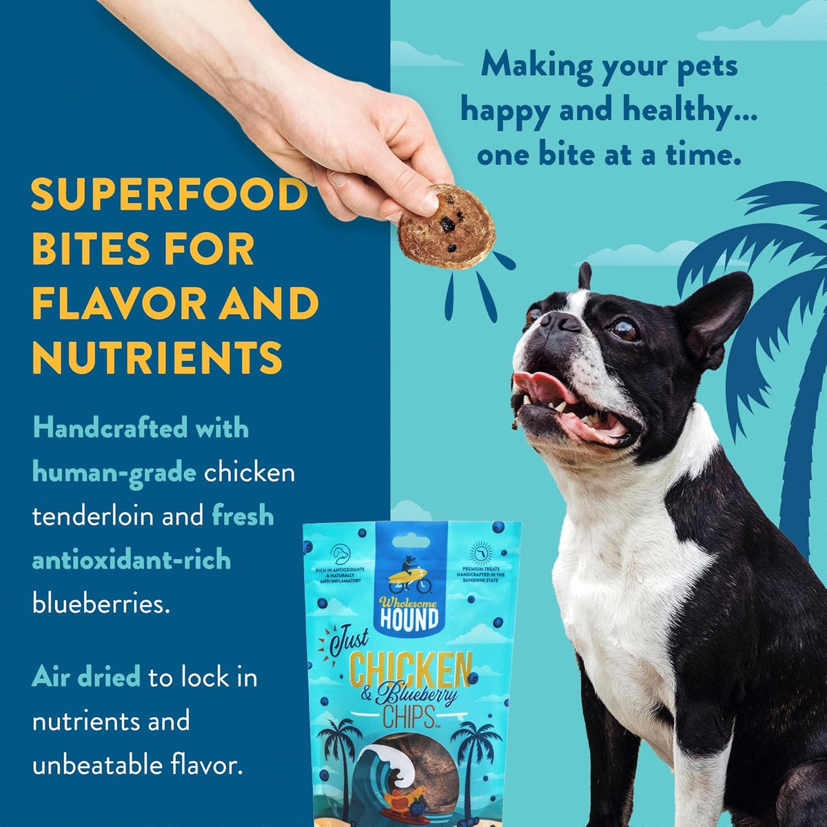 Chicken & Blueberry Chips – 2 Simple Ingredient Dog Treats, All Natural & Healthy Training Snacks
