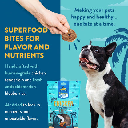 Chicken & Blueberry Chips – 2 Simple Ingredient Dog Treats, All Natural & Healthy Training Snacks