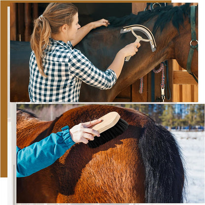 Abbylike 12 Pieces Horse Grooming Kit Racing Festival Tack Room Supplies Horse Brush Sets Equine